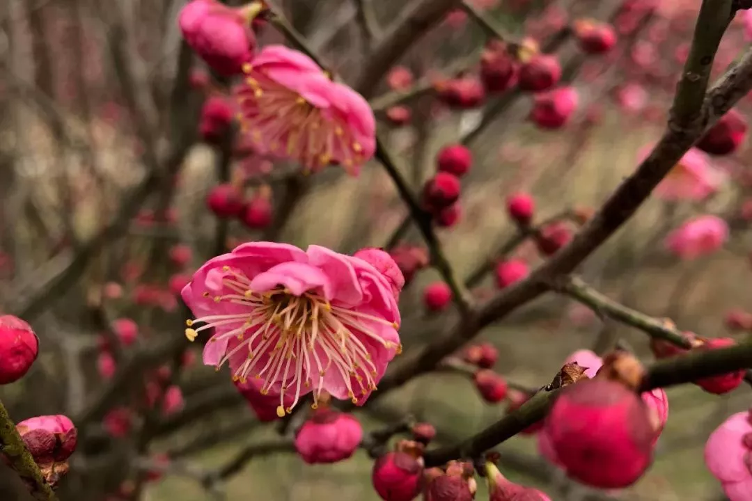 鸿运国际·(中国)最新官方网站